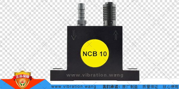 NCB10